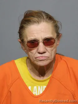Mugshot of Beverly Ann Plunk booked in York County, South Carolina on May 5, 2026