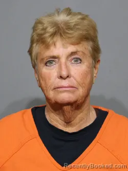 Mugshot of Rebecca Delaine Williams booked in York County, South Carolina on May 5, 2026