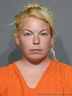 Mugshot of Felicia Marie Sackluxai booked in York County, South Carolina on May 5, 2026