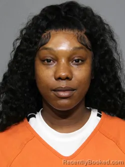 Mugshot of Milika Shanta Johnson booked in York County, South Carolina on May 8, 2026