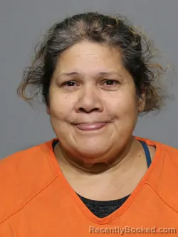 Mugshot of Ramona Hernandez Hernandez booked in York County, South Carolina on May 8, 2026