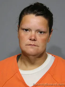 Mugshot of Dana Leigh Brown booked in York County, South Carolina on May 9, 2026