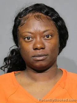 Mugshot of Sharmekka Danielle Burris booked in York County, South Carolina on May 10, 2026