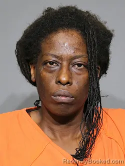 Mugshot of Louisiana Joyce-Mae Brown booked in York County, South Carolina on May 10, 2026