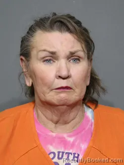 Mugshot of Kathi Gail Jodway booked in York County, South Carolina on May 12, 2026