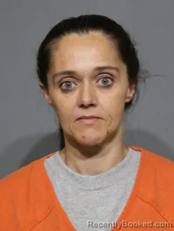 Mugshot of Stephanie Michelle Mcfadyen booked in York County, South Carolina on May 13, 2026