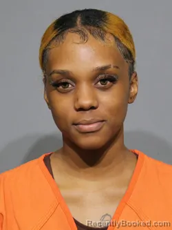 Mugshot of Elijae Jakalya McGill booked in York County, South Carolina on May 14, 2026