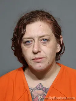 Mugshot of Crystal Lynn Hill booked in York County, South Carolina on May 16, 2026