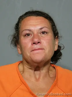 Mugshot of Irma Smith booked in York County, South Carolina on June 17, 2026