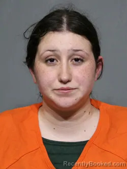 Mugshot of Analiese Skye Maloney booked in York County, South Carolina on June 17, 2026