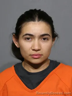 Mugshot of Dilma Savenia Ayala booked in York County, South Carolina on June 18, 2026