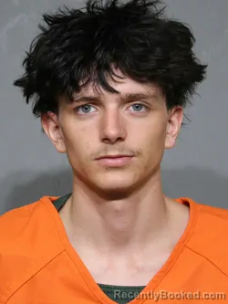 Mugshot of Daniel Timothy David Collins booked in York County, South Carolina on June 19, 2026
