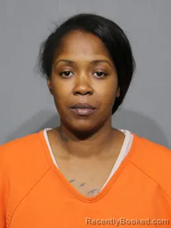Mugshot of Shenequel Adrene Mcknight booked in York County, South Carolina on June 20, 2026