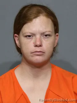 Mugshot of Candice Nicole Sisk booked in York County, South Carolina on June 20, 2026