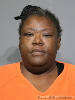 Mugshot of Rhonda Sha Sanders booked in York County, South Carolina on June 22, 2026