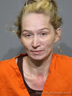 Mugshot of Mandy Nicole Mccurry booked in York County, South Carolina on June 22, 2026