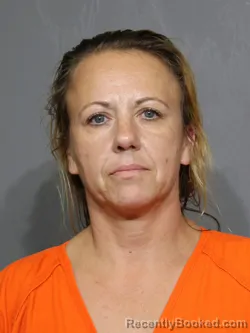 Mugshot of Leann Chrissy Platko booked in York County, South Carolina on June 23, 2026
