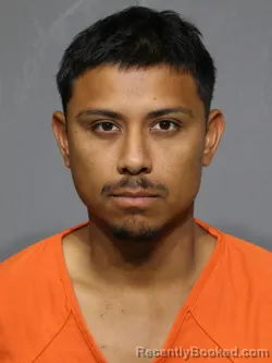Mugshot of Sergio Adrian Armandariz booked in York County, South Carolina on June 24, 2026