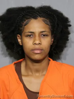 Mugshot of Warneesha Deonna Brown booked in York County, South Carolina on June 24, 2026
