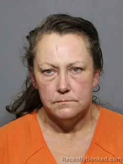 Mugshot of Rebecca Cathey Lambert booked in York County, South Carolina on June 25, 2026