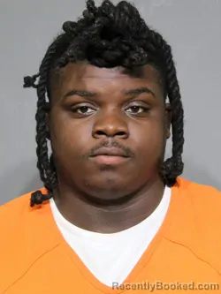Mugshot of Joquise Denique Holley booked in York County, South Carolina on June 25, 2026