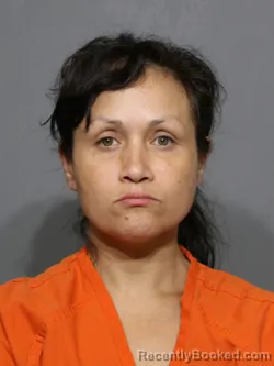 Mugshot of Laura Magadelena Zamora-Lemus booked in York County, South Carolina on June 26, 2026