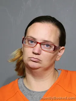 Mugshot of Stephanie Michelle Sharp booked in York County, South Carolina on June 26, 2026
