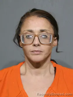 Mugshot of Nicole Lynn Johnson booked in York County, South Carolina on June 27, 2026