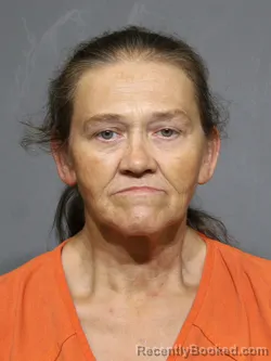 Mugshot of Hope Denise Ramsey booked in York County, South Carolina on July 1, 2026