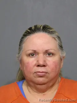 Mugshot of Melodee Lyles Wolbert booked in York County, South Carolina on July 1, 2026
