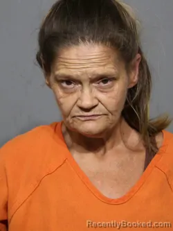 Mugshot of Casey Lynn Mitchum booked in York County, South Carolina on July 1, 2026