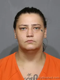 Mugshot of Samantha Brooke Besig Zmuda booked in York County, South Carolina on July 2, 2026