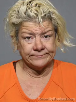 Mugshot of Lena Melinda Martin booked in York County, South Carolina on July 2, 2026