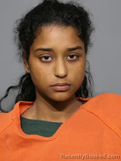 Mugshot of Luillyna Paulino Reyes booked in York County, South Carolina on July 3, 2026
