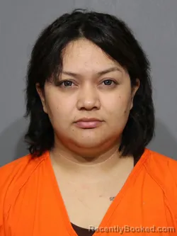 Mugshot of Eliany Gabriela Kuthe Mairena booked in York County, South Carolina on July 4, 2026