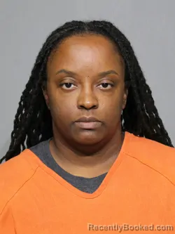 Mugshot of Jassmine Tylisa Evans booked in York County, South Carolina on July 4, 2026