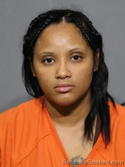 Mugshot of Monica Liliana Armastravez booked in York County, South Carolina on July 5, 2026