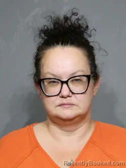 Mugshot of Tiffany Ann Goetz booked in York County, South Carolina on July 6, 2026