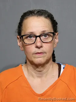 Mugshot of Wendy Vincent Watson booked in York County, South Carolina on July 8, 2026