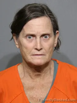 Mugshot of Lynn Walker Leake booked in York County, South Carolina on July 8, 2026