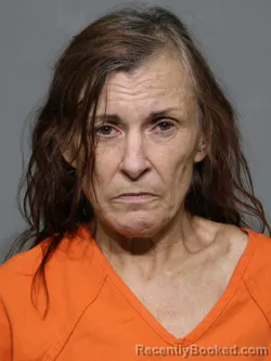 Mugshot of Sarita Janine Simmers booked in York County, South Carolina on July 9, 2026