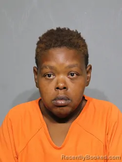 Mugshot of Dyanna Lynn Florence booked in York County, South Carolina on July 9, 2026
