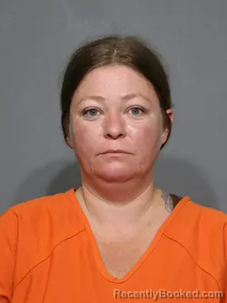 Mugshot of Brooke Ann Bowman booked in York County, South Carolina on July 10, 2026