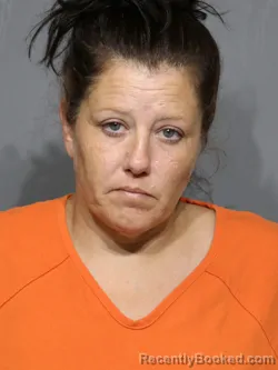 Mugshot of Amy Kara Holloway booked in York County, South Carolina on July 10, 2026