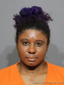 Mugshot of Kiana Marie Stinson booked in York County, South Carolina on July 10, 2026