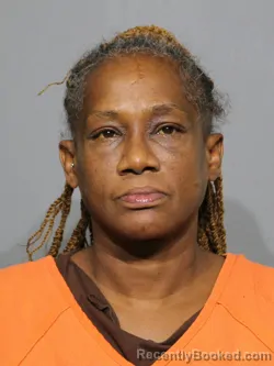Mugshot of Waneka Lashawn Patterson booked in York County, South Carolina on July 11, 2026