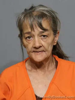 Mugshot of Belinda Carol Busker booked in York County, South Carolina on July 11, 2026