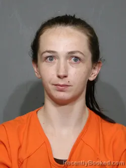 Mugshot of Shayna Ann Honeycutt booked in York County, South Carolina on July 11, 2026