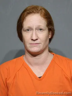 Mugshot of Ashley Renee Farris booked in York County, South Carolina on July 14, 2026