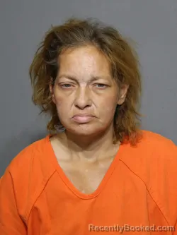 Mugshot of Misty Alford Mcmanus booked in York County, South Carolina on July 15, 2026